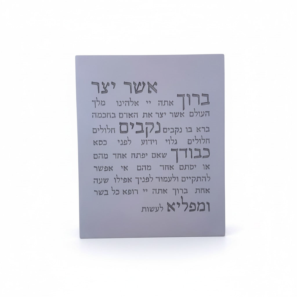 אשר יצר | דגם מעוצב-אפור טבעי- כיתוב אפור כהה