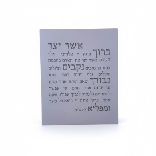 אשר יצר | דגם מעוצב-אפור טבעי- כיתוב אפור כהה