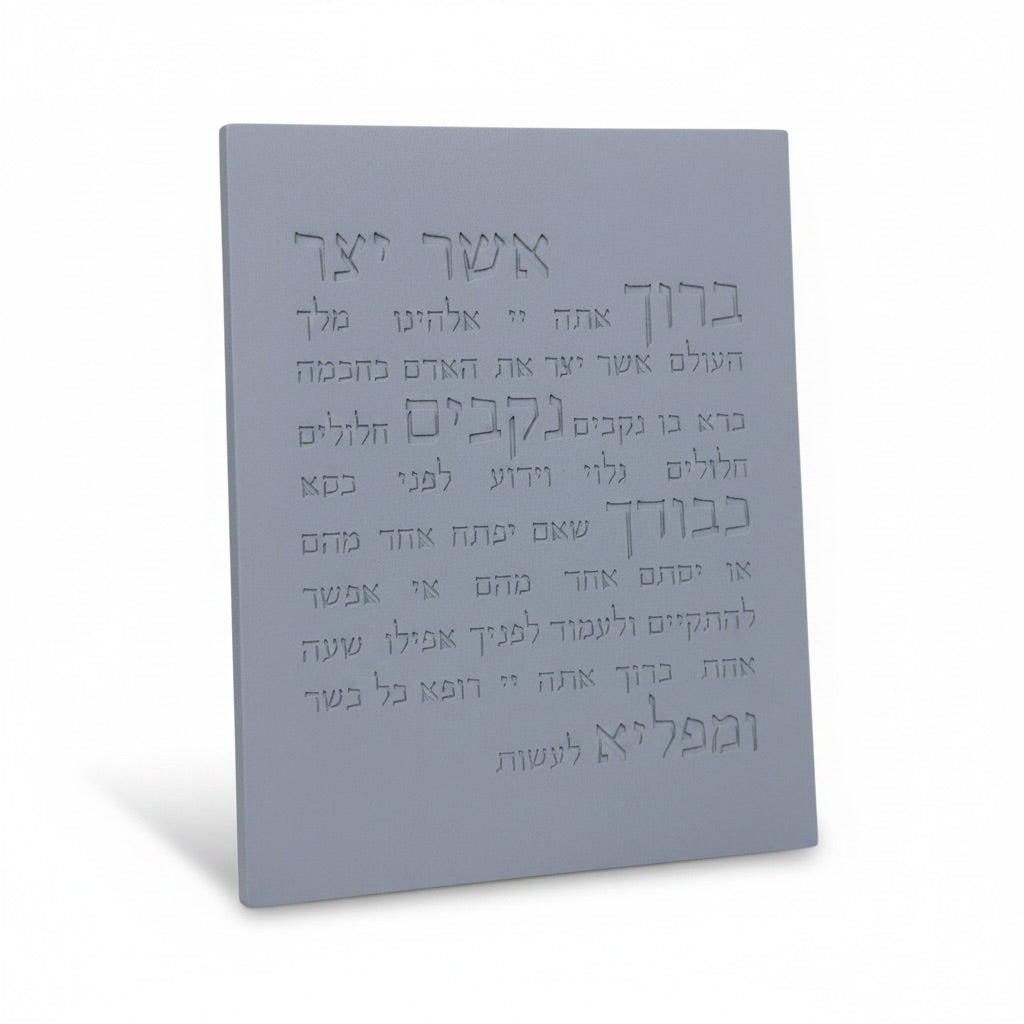 אשר יצר | דגם מעוצב-אפור טבעי