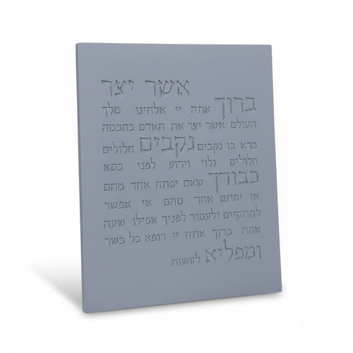 אשר יצר | דגם מעוצב-אפור טבעי