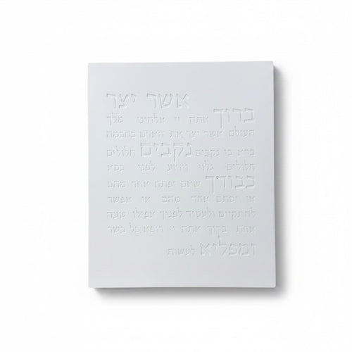אשר יצר | דגם מעוצב-לבן