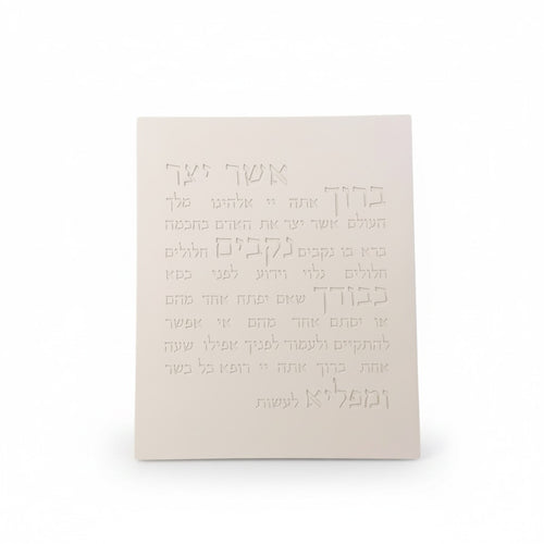 אשר יצר | דגם מעוצב-לבן טבעי