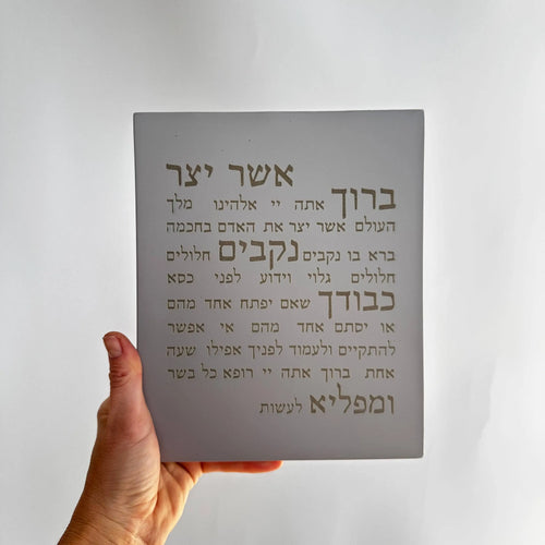 אשר יצר | דגם מעוצב-אפור