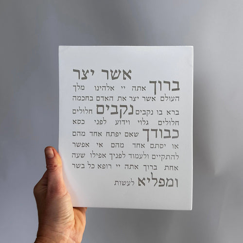 אשר יצר | דגם מעוצב-לבן